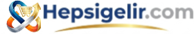hepsigelir.com